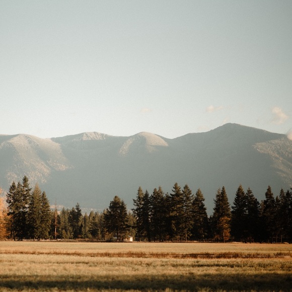 Meet your Posher, Jo - Picture 1 of 1